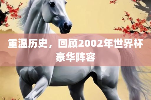 重温历史，回顾2002年世界杯豪华阵容