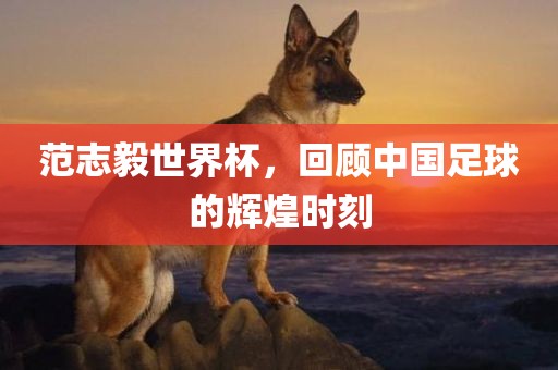 范志毅世界杯，回顾中国足球的辉煌时刻