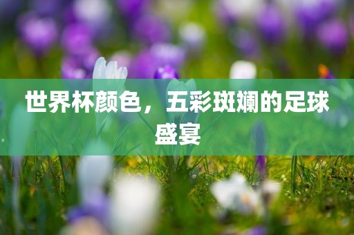 世界杯颜色，五彩斑斓的足球盛宴
