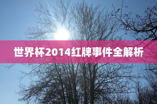 世界杯2014红牌事件全解析