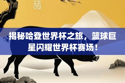 揭秘哈登世界杯之旅，篮球巨星闪耀世界杯赛场！