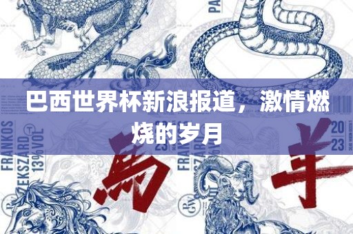巴西世界杯新浪报道，激情燃烧的岁月
