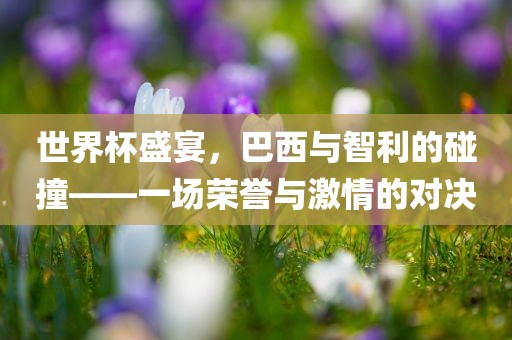 世界杯盛宴，巴西与智利的碰撞——一场荣誉与激情的对决