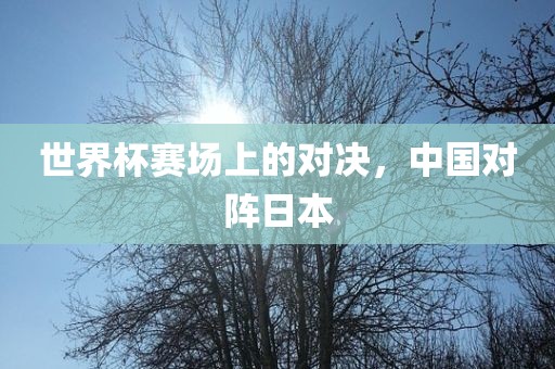 世界杯赛场上的对决，中国对阵日本