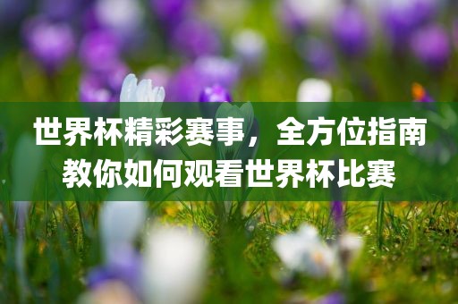 世界杯精彩赛事，全方位指南教你如何观看世界杯比赛