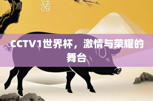CCTV1世界杯，激情与荣耀的舞台