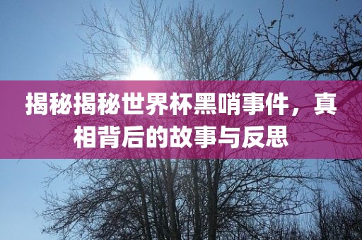 揭秘揭秘世界杯黑哨事件，真相背后的故事与反思