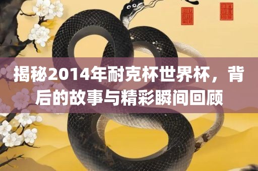 揭秘2014年耐克杯世界杯，背后的故事与精彩瞬间回顾