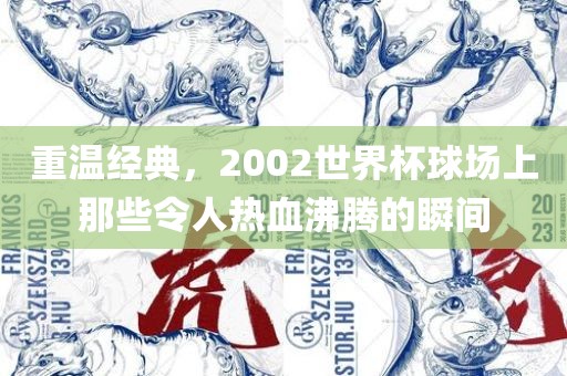 重温经典，2002世界杯球场上那些令人热血沸腾的瞬间