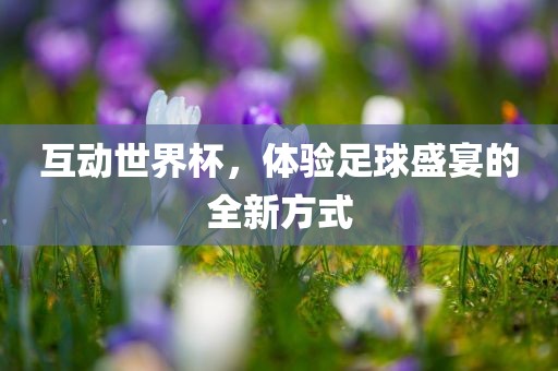 互动世界杯，体验足球盛宴的全新方式