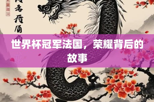世界杯冠军法国，荣耀背后的故事