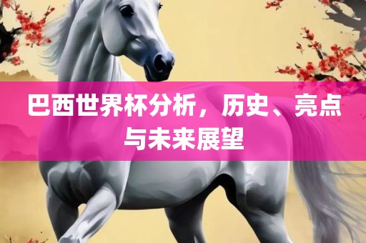 巴西世界杯分析，历史、亮点与未来展望