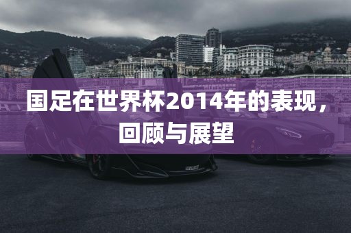 国足在世界杯2014年的表现，回顾与展望