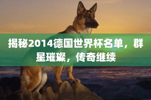 揭秘2014德国世界杯名单，群星璀璨，传奇继续