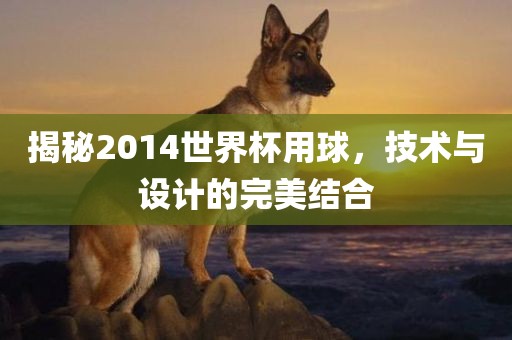 揭秘2014世界杯用球，技术与设计的完美结合