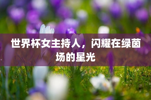 世界杯女主持人，闪耀在绿茵场的星光