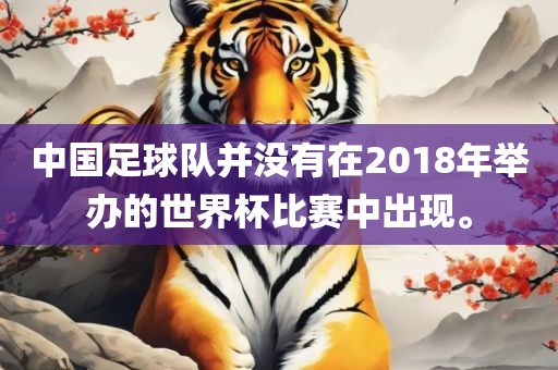中国足球队并没有在2018年举办的世界杯比赛中出现。