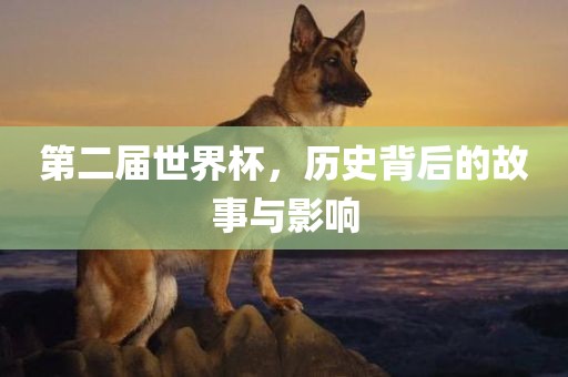 第二届世界杯，历史背后的故事与影响