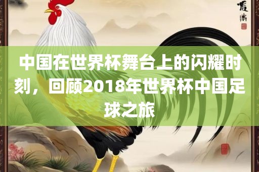 中国在世界杯舞台上的闪耀时刻，回顾2018年世界杯中国足球之旅