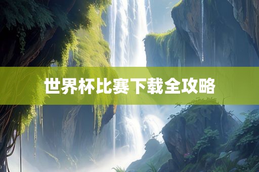 世界杯比赛下载全攻略
