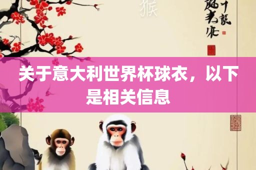 关于意大利世界杯球衣，以下是相关信息