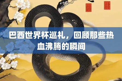 巴西世界杯巡礼，回顾那些热血沸腾的瞬间