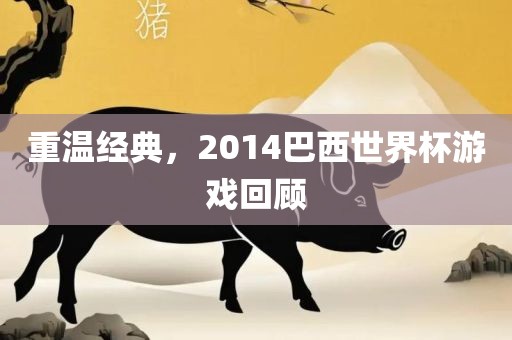 重温经典，2014巴西世界杯游戏回顾