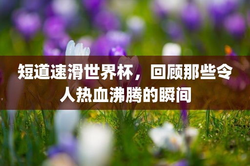 短道速滑世界杯，回顾那些令人热血沸腾的瞬间