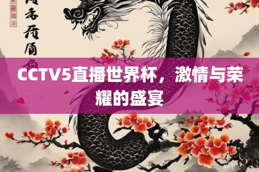 CCTV5直播世界杯，激情与荣耀的盛宴