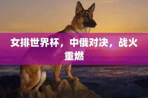 女排世界杯，中俄对决，战火重燃