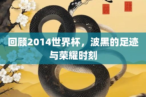 回顾2014世界杯，波黑的足迹与荣耀时刻