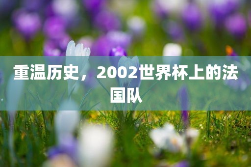 重温历史，2002世界杯上的法国队