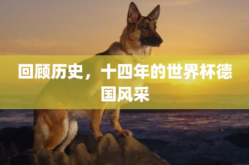 回顾历史，十四年的世界杯德国风采