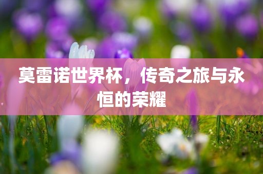 莫雷诺世界杯，传奇之旅与永恒的荣耀