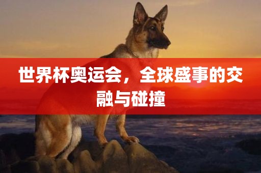 世界杯奥运会，全球盛事的交融与碰撞