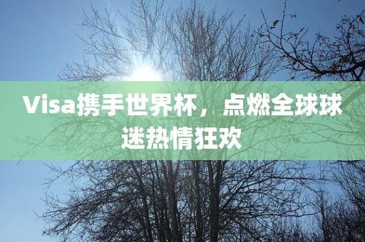 Visa携手世界杯，点燃全球球迷热情狂欢