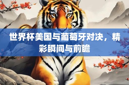 世界杯美国与葡萄牙对决，精彩瞬间与前瞻