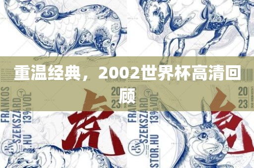 重温经典，2002世界杯高清回顾
