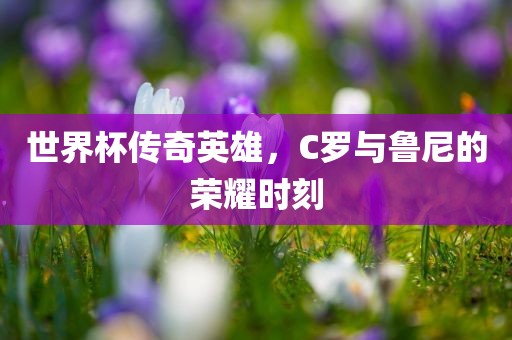 世界杯传奇英雄，C罗与鲁尼的荣耀时刻