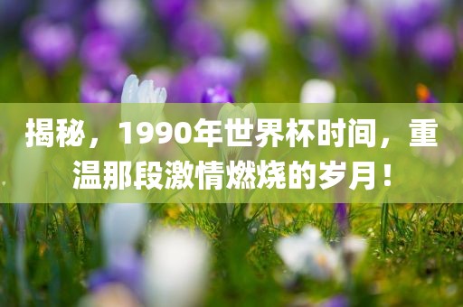 揭秘，1990年世界杯时间，重温那段激情燃烧的岁月！