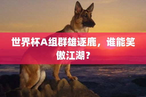 世界杯A组群雄逐鹿，谁能笑傲江湖？