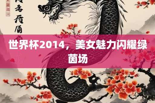 世界杯2014，美女魅力闪耀绿茵场