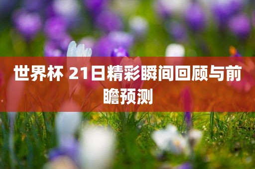 世界杯 21日精彩瞬间回顾与前瞻预测