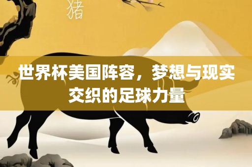 世界杯美国阵容，梦想与现实交织的足球力量