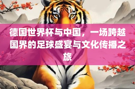 德国世界杯与中国，一场跨越国界的足球盛宴与文化传播之旅