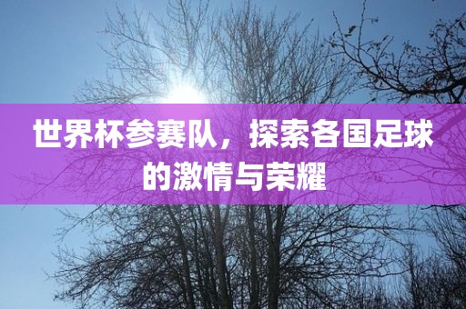 世界杯参赛队，探索各国足球的激情与荣耀