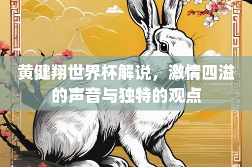 黄健翔世界杯解说，激情四溢的声音与独特的观点