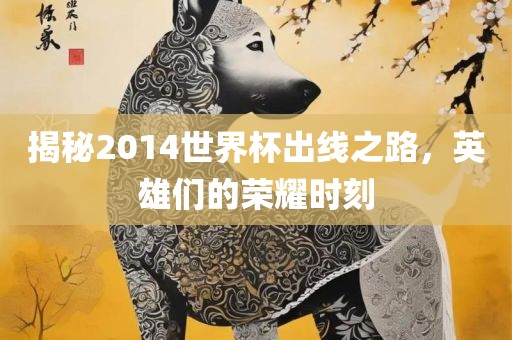 揭秘2014世界杯出线之路，英雄们的荣耀时刻