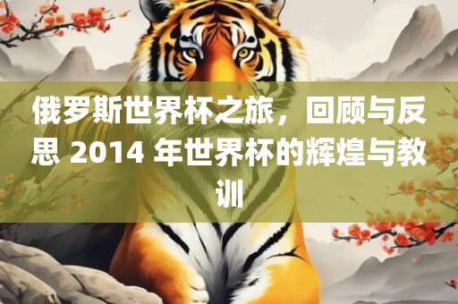 俄罗斯世界杯之旅，回顾与反思 2014 年世界杯的辉煌与教训