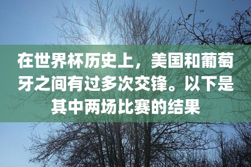 在世界杯历史上，美国和葡萄牙之间有过多次交锋。以下是其中两场比赛的结果